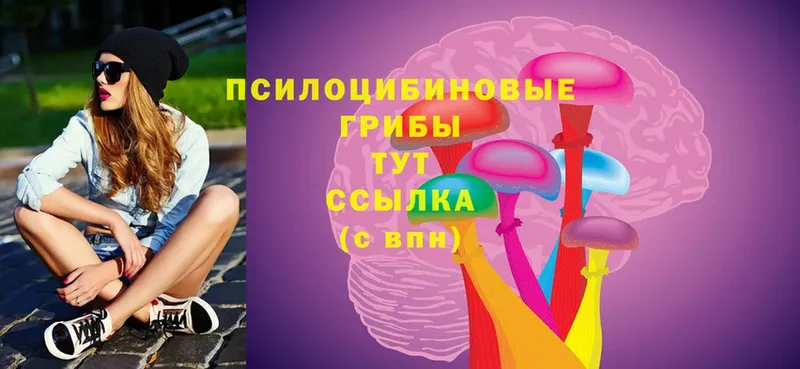 Галлюциногенные грибы Psilocybine cubensis  гидра tor  Нововоронеж 